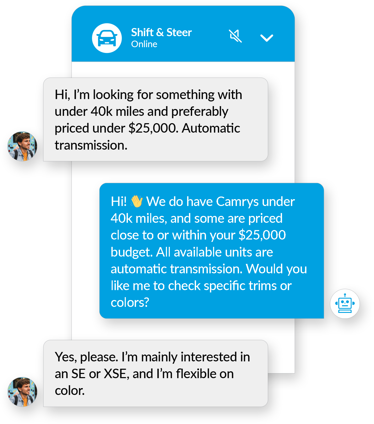 Ava live website chat with a dealership visitor